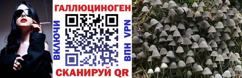 Псилоцибиновые грибы MAGIC MUSHROOMS  магазин  наркотиков  Грозный 